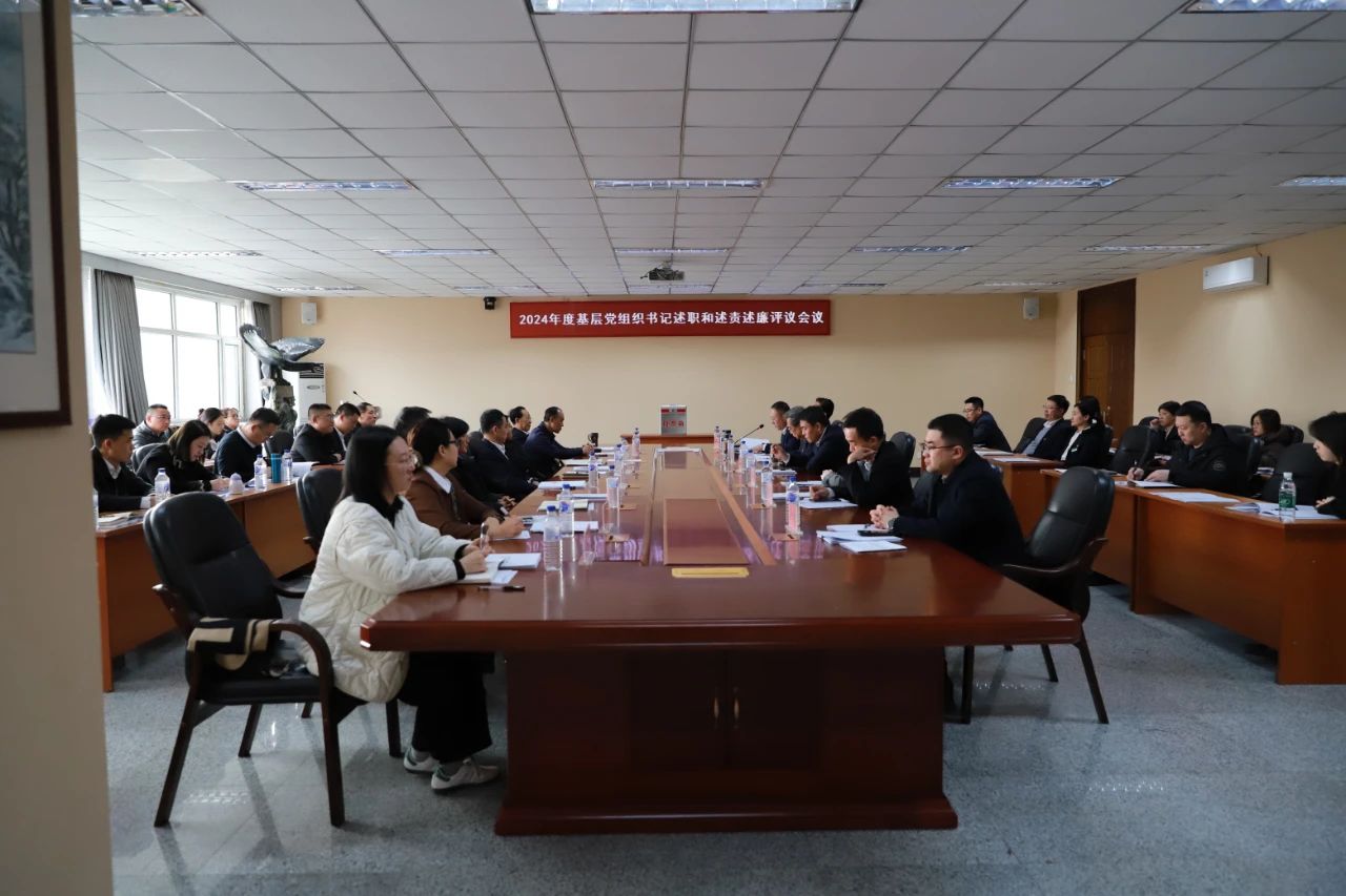 学校召开2024年度基层党组织书记抓基层党建工作述职和述责述廉评议会议